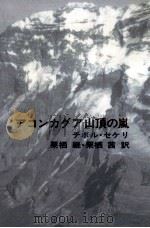 アコンカグア山頂の嵐（1990.06 PDF版）