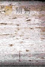 ドクター·ヘリオットの犬物語 1997.12 PDF电子版封面 Herriot