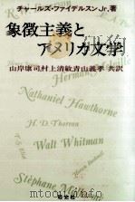 象徴主義とアメリカ文学 1991.11 PDF电子版封面 Feidelson