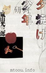 夕焼け少年（1988.06 PDF版）