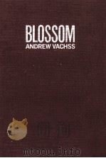 ブロッサム 1992.05 PDF电子版封面 Vachss