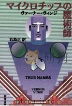 マイクロチップの魔術師 1989.01 PDF电子版封面 Vinge