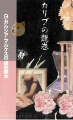 カリブの龍巻 1984.10 PDF电子版封面 高橋丁未子