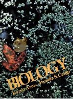 BILOGY（1979 PDF版）