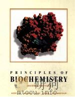 PRINCIPLES OF BIOCHEMISTRY SECOND EDITON 1996 PDF电子版封面 0134391675