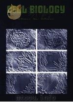 CELL BIOLOGY SIXTH EDITION（1975 PDF版）