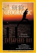 NATIONAL GEOGRAPHIC VOL183 NO6 JUNE 1993 1993 PDF电子版封面