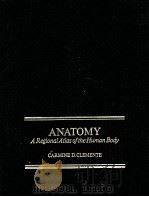 ANATOMY A REGIONAL ATLAS OF THE HUMAN BODY（1975 PDF版）