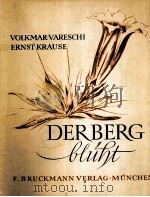 DER BERG GLUHT 1938 PDF电子版封面