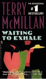 TERRY MCMILLAN WAITING TO EXHALE（1992 PDF版）