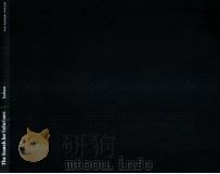 THE SEARCH FOR SOLUTIONS（1980 PDF版）