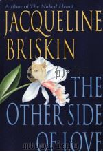 THE OTHER SIDE OF LOVE 1991 PDF电子版封面