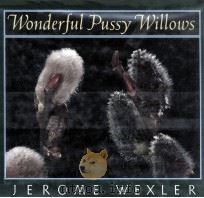 WONDERFUL PUSSY WILLOWS（ PDF版）