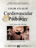 COLOR ATLAS OF CARDIOVASCULAR PATHOLOGY 1986 PDF电子版封面 0199210470