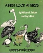 A FIRST LOOK AT BIRDS（1973 PDF版）