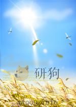 LOUVAIN CHINESE STUDIES VI THE CHRISTIAN MISSION IN CHINA IN THE VERBIEST ERA:SOME ASPECTS OF THE MI 1999 PDF电子版封面 906186996X NOEL GOLVERS