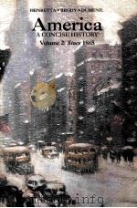 AMERICA A CONCISE HISTORY VOLUME 2 SINCE 1865（1999 PDF版）