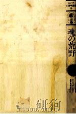 魂の荒野（1989.04 PDF版）