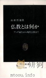 仏教とは何か 1993.05 PDF电子版封面 山折哲雄