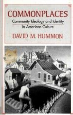COMMONPLACES COMMUNITY IDEOLOGY AND IDENTITY IN AMERICAN CULTURE（1990 PDF版）
