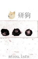 塀の外の男と女たち 1987.08 PDF电子版封面 安部譲二