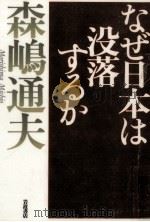 なぜ日本は没落するか（1999.03 PDF版）