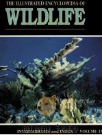 THE ILLUSTRATED ENCYCLOPEDIA OF WILDLIFE VOLUME 15（1991 PDF版）