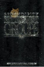 SERENDIPITY NEW TESTAMENT FOR GROUPS 1986 PDF电子版封面