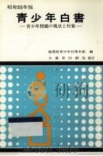 青少年白書 1980（1981.01 PDF版）
