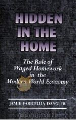 HIDDEN IN THE HOME THE ROLE OF WAGED HOMEWORK IN THE MODERN WORLD-ECONOMY（1994 PDF版）