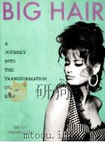 BIG HAIR A JOURNEY INTO THE TRANSFORMATION OF SELF（1995 PDF版）