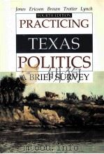 PRACTICING TEXAS POLITICS A BRIEF SURVEY/FOURTH EDITION（1993 PDF版）