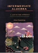 INERMEDIATE ALGEBRA:A JUST-IN-TIME APPROACH 1997 PDF电子版封面 0534956661 ALICE KASEBERG