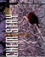 CHEMSTRY A FIRST COURSE THIRD EDITION（1980 PDF版）