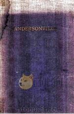 ANDERSONVILLE（1995 PDF版）