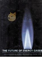 THE FUTURE OF ENERGY GASES（1993 PDF版）