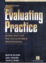 EVALUATING PRACTICE:GUIDELINES FOR THE ACCOUNTABLE PROFESSIONAL SECOND EDITION（1995 PDF版）