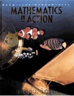 MATHEMATICS IN ACTION（1991 PDF版）