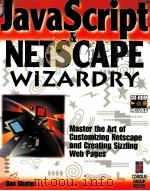 JAVA SCRIPT & NETSCAPE WIZARDRY（1996 PDF版）