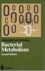 GERHARD GOTTSCHALK BACTERIAL METABOLISM SECOND EDITION PDF电子版封面 0387961534