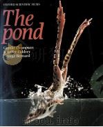 THE POND PDF电子版封面