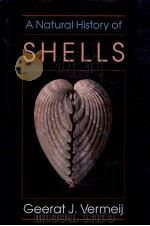 A NATURAL HISTORY OF SHELLS（1993 PDF版）