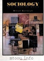 SOCIOLOGY IN A CHANGING WORLD THIRD EDITION（ PDF版）