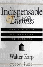 INDISPENSABLE ENEMIES:THE POLITICS OF MISRULE IN AMERICA 1993 PDF电子版封面 1879957132 WALTER KARP
