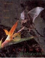 ANIMAL BEHAVIOR（1996 PDF版）