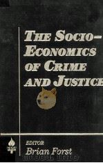 THE SOCIO-ECONOMICS OF CRIME AND JUSTICE（1993 PDF版）