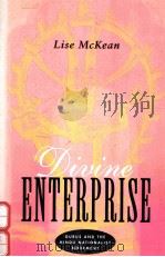 DIVINE ENTERPRISE:GURUS AND THE HINDU NATIONALIST MOVEMENT（1996 PDF版）