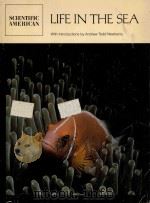 LIFE IN THE SEA（ PDF版）