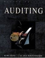 AUDITING SECOND EDITION（1994 PDF版）