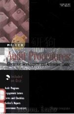 AUDIT PROCEDURES:ELECTRONIC WORKPAPERS AND REFERENCE GUIDE GEORGE GEORGIADES AUGUST 1996（1996 PDF版）